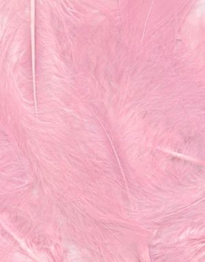 8 gram Ljus Rosa Dekorativa Fjädrar 6-12 cm