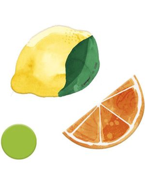 36 stk Citrus Bordkonfetti/Dekorasjon - Summer Fruits