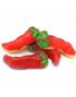 Vidal Fire Peppers - Vingummi- og Gelegodteri med Spicy og Hot Fruktsmak 780 gram