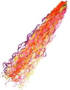 Färgrik Tassel Ballongsvans 75 cm
