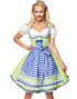 Deluxe Grön Dirndl-Oktoberfestklänning med Blå Partier