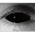 Red Sclera 22 mm Heltäckande Linser