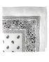 Paisley Bandana - Vit