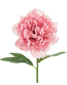 Rosa Pionblomma 35 cm - Konstgjorda Blommor