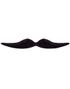 Zorro Inspirerad - Svart Mustasch