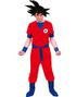 Parkostymer - Anime Inspirerade Dragon Ball Kostymer
