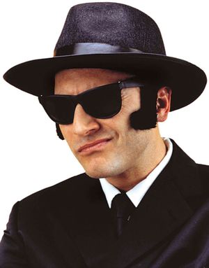 Svarta Blues Brothers Matta Wayfarerglasögon 