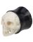 Carved Horn Skull - Organisk Piercing Plugg
