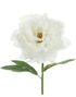 Hvit Peonblomst 35 cm - Kunstige Blomster