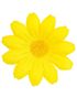 20 st Gula Dekorationsblommor