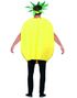 Ananas Unisex Dräkt