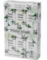6-Pack Stamford White Musk Aromaolja 60 ml