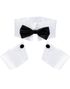Strippar-Kit med Krage och Armcuffs