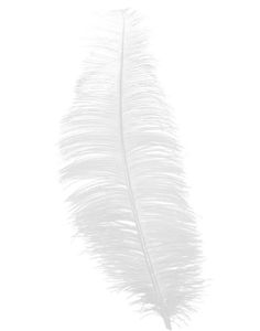 12 Stk. Hvite Strutsefjær - 30 cm