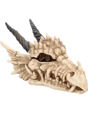 Dragons Skull Förvaringsbox 20 cm