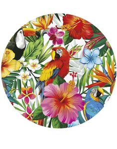 6 stk Papptallerkener med Hawaii Motiv 23 cm