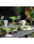 10 stk Papptallerkener 23 cm - Dinosaur Fest