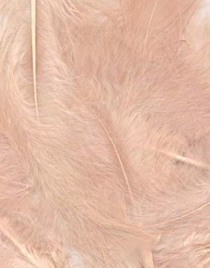 8 gram Dusty Rose Dekorativa Fjädrar 6-12 cm