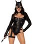 Fierce Feline - Catwoman Inspireret Maskeraddräkt