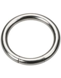 Silver Segment Ring