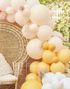 Dempet Pastell - Ballongbuesett i 137 Deler