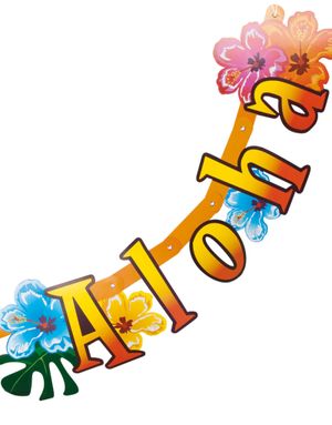 Aloha Banner 83 cm - Hawaii Sunset