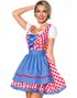 Traditionell Röd och Vit Rutig Dirndl Kostyme med Blå Partier