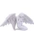 Angel's Offering - Knelende Engelfigur 38 cm