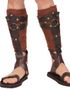 Romerska Benskydd / Legskin
