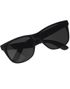 Svarta Blues Brothers Matta Wayfarerglasögon 