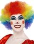 Flerfärgad Clownperuk