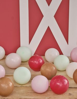 40 stk Røde, Hvite, Nude, Blush, Tan og Grønne Ballonger på 12,7 cm - Farm Friends