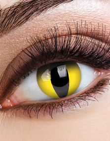 1893283200_5Yellow Cat Crazylinser