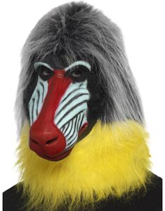 Heltäckande Bavian Djurmask i Latex med Hår