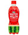 OKF Fruit Sparkling Watermelon - Brus med Vattenmelonsmak 500 ml (Korea)