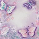 Flutter Dream