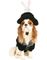 Hat Trick Hundkostym