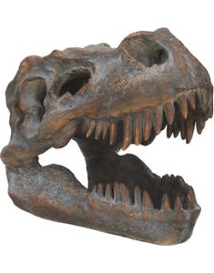 Tyrannosaurus Rex Skeletthuvud - Fristående Figur 16 cm