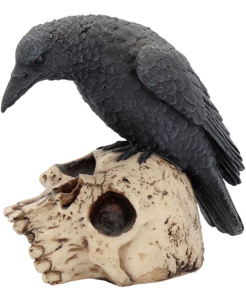 Ravens Remains - Korp och Dödskalle Figur 13 cm