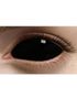 Black Sclera 22 mm Heltäckande Linser