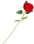 1 stk Rød Langstilket Rose med Blader 50 cm