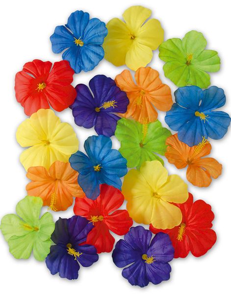 18 stk Färgglada Hawaii Hibiscus Blommor