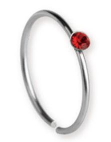 Circle With Red Stone - Näspiercing