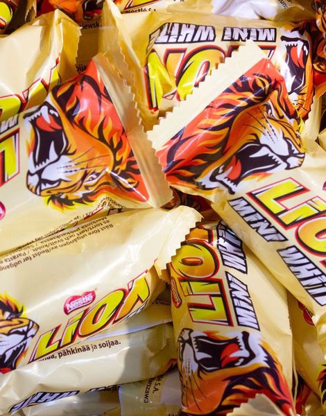 Kjempestor Eske med Lion White mini 5 Kg