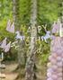 Happy Birthday - Prinsesse Bursdagsbanner med Justerbart Årstall og Bokstaver 1,5 m - Princess Party