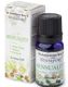 Sensuality - 10 ml Stamford Aromaolje