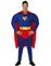 Superman-inspirerad Maskeraddräkt (Herr)