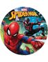 Kakebilde med Marvel Spider-Man Motiv