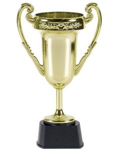 Gullfarget Pokal 23x14 cm