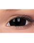 Black Mini Sclera 17 mm Crazylinser